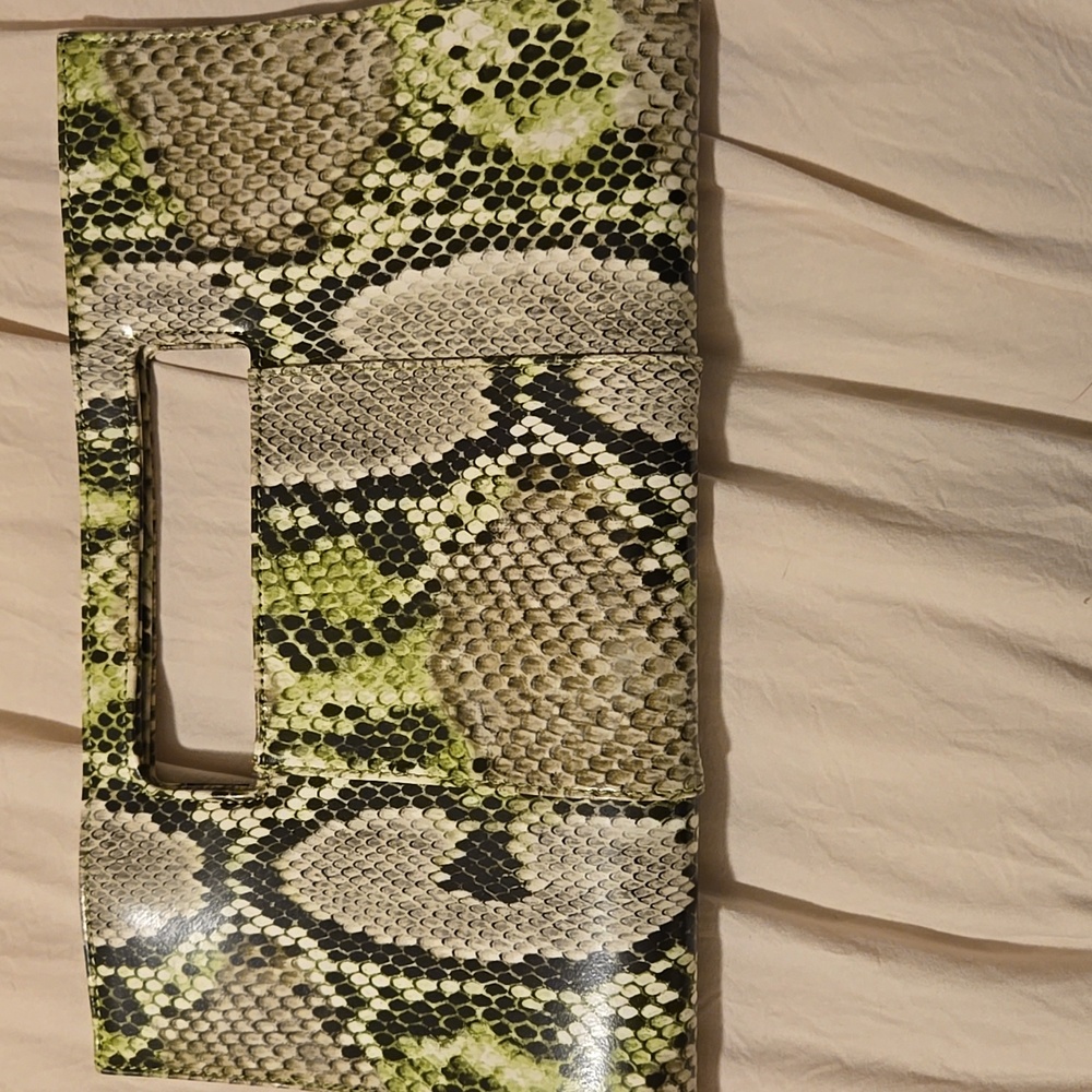 Charming Charlie Green and Black Clutch